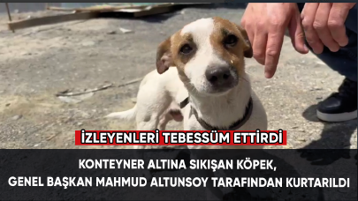 Konteyner altına sıkışan köpek, Genel Başkan Mahmud Altunsoy tarafından kurtarıldı