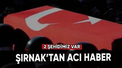 Şırnak'tan acı haber: 2 şehidimiz var