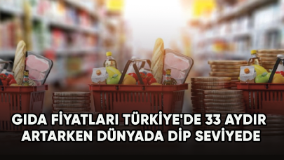 Gıda fiyatları Türkiye'de 33 aydır artarken dünyada dip seviyede