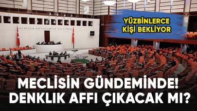 Meclisin gündeminde! Denklik affı çıkacak mı?