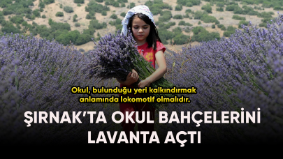 Şırnak'ta okul bahçeleri lavanta açtı!