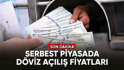 Serbest piyasada döviz açılış kurları