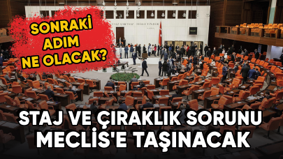 Staj ve çıraklık sigortası mağdurlarının sorunu Meclis'e taşınacak