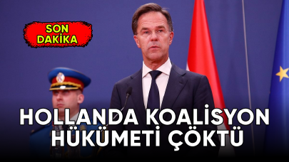 Hollanda hükümeti, göç nedeniyle çöktü