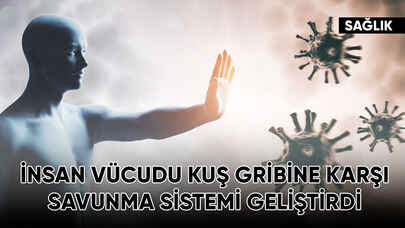 İnsan vücudu kuş gribine karşı savunma sistemi geliştirdi