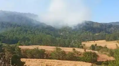 Isparta'da anız yangını ormanlık alana sıçradı