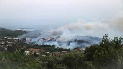 Son dakika... Hatay'da orman yangını çıktı