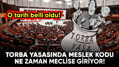 Torba yasasında meslek kodu ne zaman meclise giriyor!