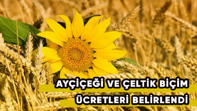 Ayçiçeği ve çeltik biçim ücretleri belirlendi