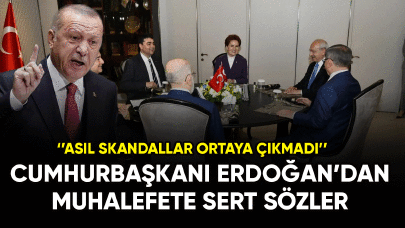 Cumhurbaşkanı Erdoğan'dan muhalefete sert tepki