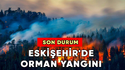 Eskişehir'de orman yangını! Yerleşim yerlerine doğru ilerliyor