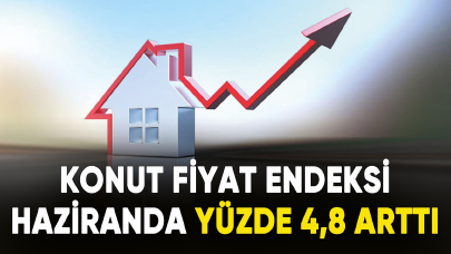 Konut Fiyat Endeksi haziranda yüzde 4,8 arttı