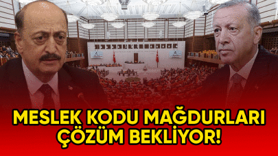 Meslek kodu mağdurları çözüm bekliyor