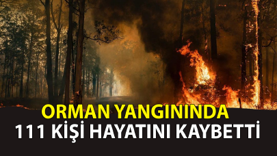 Orman yangınında 111 kişi hayatını kaybetti