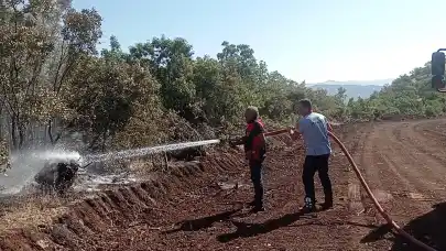 Siirt'te ormanlık alanda çıkan yangın kontrol altına alındı