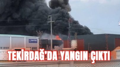 Tekirdağ'da kimya fabrikasında yangın