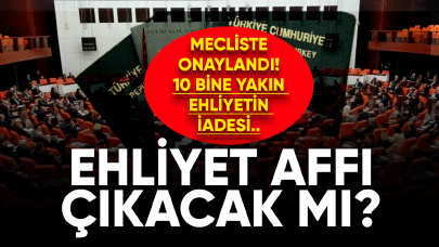 Ehliyet affı çıktı mı ?