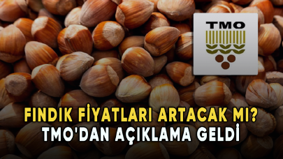 Fındık fiyatları artacak mı? TMO'dan açıklama geldi...