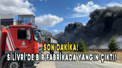 İstanbul Silivri'de bir fabrikada yangın çıktı!