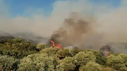 İzmir'de orman yangını çıktı