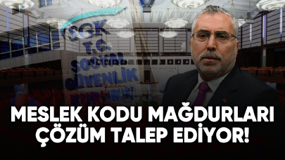 Meslek kodu mağduriyeti çözülecek mi?