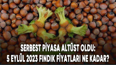 Serbest piyasa altüst oldu: 5 Eylül 2023 fındık fiyatları ne kadar?