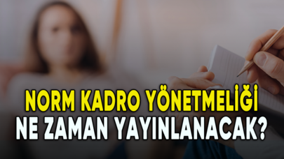 Tepkiler büyüyor: Norm Kadro Yönetmeliği ne zaman yayınlanacak?