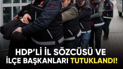 HDP İl sözcüsü ve ilçe başkanları dahil 20 kişi tutuklandı