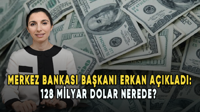 Merkez Bankası Başkanı Erkan açıkladı: 128 milyar dolar nerede?