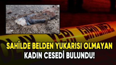 Sahilde belden yukarısı olmayan kadın cesedi bulundu!