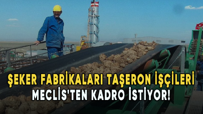 Şeker fabrikaları taşeron işçileri Meclis'ten kadro istiyor!