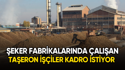 Şeker fabrikalarında çalışan taşeron işçiler kadro istiyor