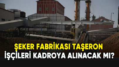 Şeker fabrikası taşeron işçileri kadroya alınacak mı?