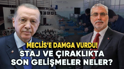 Staj ve çıraklıkta son gelişmeler... Meclis'e damga vurdu!