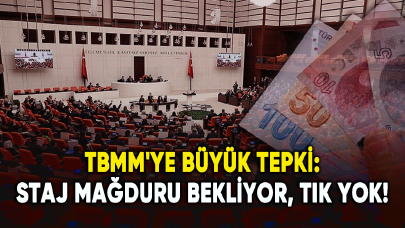 TBMM'ye büyük tepki: Staj mağduru bekliyor, tık yok!