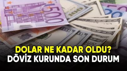 Dolar ne kadar oldu? Döviz kurunda son durum