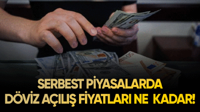 Döviz açılış fiyatları ne kadar?