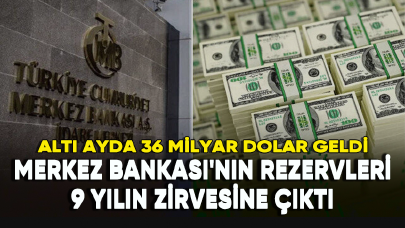 Merkez Bankası'nın rezervleri 9 yılın zirvesinde: Altı ayda 36 milyar dolar geldi