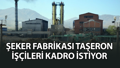 Şeker fabrikası taşeron işçileri kadro istiyor