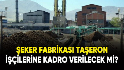 Şeker fabrikası taşeron işçilerine kadro verilecek mi?