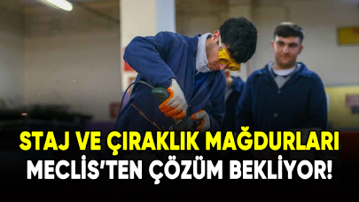 Staj ve çıraklık mağdurları Meclis'ten çözüm bekliyor