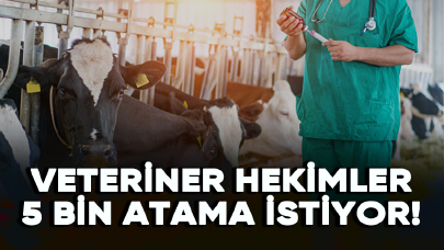 Veteriner hekimler 5 bin atama istiyor!