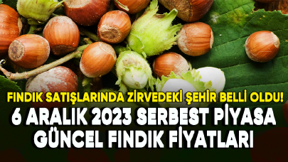 Fındık satışlarında zirvedeki şehir belli oldu! 6 Aralık 2023 serbest piyasa güncel fındık fiyatları...