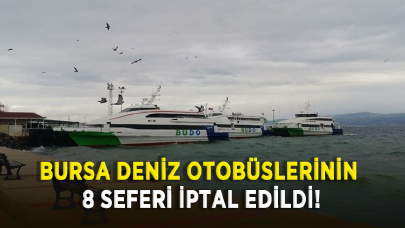 Bursa Deniz Otobüslerinin 8 seferi iptal edildi!