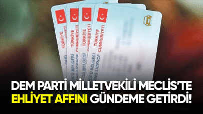 Dem Parti Milletvekili Meclis'te ehliyet affını gündeme getirdi