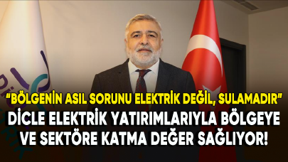 Dicle Elektrik yatırımlarıyla bölgeye ve sektöre katma değer sağlıyor!