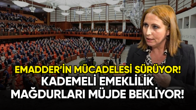 EMADDER'İN mücadelesi sürüyor: Kademeli emeklilik mağdurları müjde bekliyor!