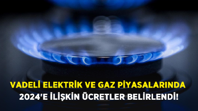 Vadeli elektrik ve gaz piyasalarında 2024'e ilişkin ücretler belirlendi!