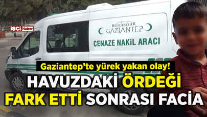 Gaziantep'te havuz faciası: Çocuk ördeği gördü sonrası facia!