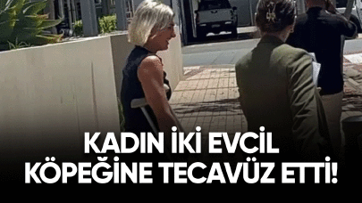 Kadın iki evcil köpeğine tecavüz etti!